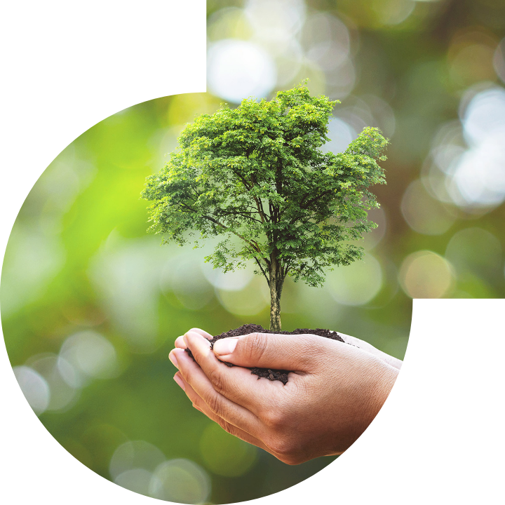 关怀人类、文化、环境与社会